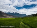 To Punakha (49 of 92)