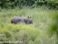 Chitwan NP (42)