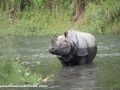 Chitwan NP (48)