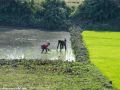 Road-to-Dhaka-3-4