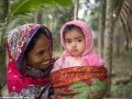 Road-to-Rajshahi-14