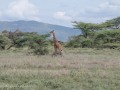 Samburu-49