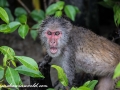 Sundarbans (11 of 97)