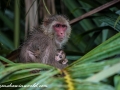 Sundarbans (13 of 97)