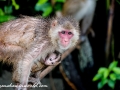 Sundarbans (27 of 97)