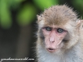 Sundarbans (29 of 97)