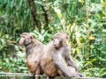 Sundarbans (36 of 97)