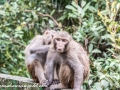 Sundarbans (41 of 97)