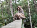 Sundarbans (46 of 97)