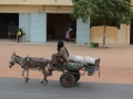 senegal-46