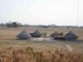 senegal-55