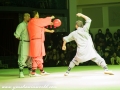 Shaolin Temple-14