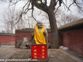 Shaolin Temple-29