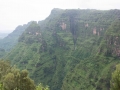 Simien-156