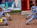 Student Kung Fu-5