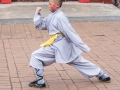 Student Kung Fu-9