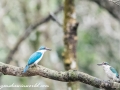 Sundarbans (34 of 97)