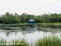 Sundarbans (88 of 97)