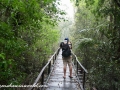 Sundarbans (91 of 97)