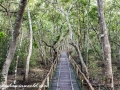 Sundarbans1 (3 of 19)