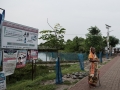 Sundarbans (1 of 97)