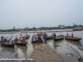 Sundarbans (2 of 97)