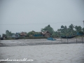 Sundarbans (3 of 97)