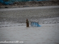 Sundarbans (6 of 97)