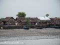 Sundarbans (7 of 97)