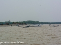 Sundarbans (86 of 97)