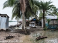 Sundarbans (57 of 97)