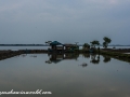 Sundarbans (59 of 97)