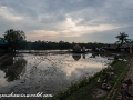 Sundarbans (60 of 97)