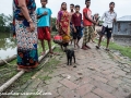 Sundarbans (61 of 97)