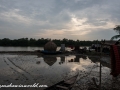 Sundarbans (63 of 97)