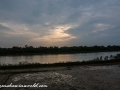 Sundarbans (66 of 97)