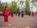 Tai Chi-8