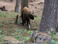 Thimphu (61 of 71)