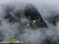 tigers nest (16 of 77)