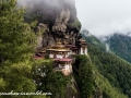 tigers nest (32 of 77)