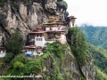 tigers nest (36 of 77)