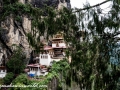 tigers nest (37 of 77)