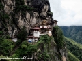 tigers nest (40 of 77)