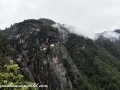 tigers nest (49 of 77)