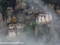 tigers nest (63 of 77)