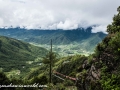 tigers nest (33 of 77)