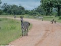 South-Luangwa-1-12